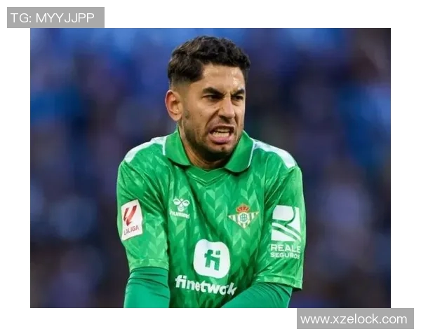 前荷兰足球明星Fine的传奇职业生涯与对足球的深刻影响