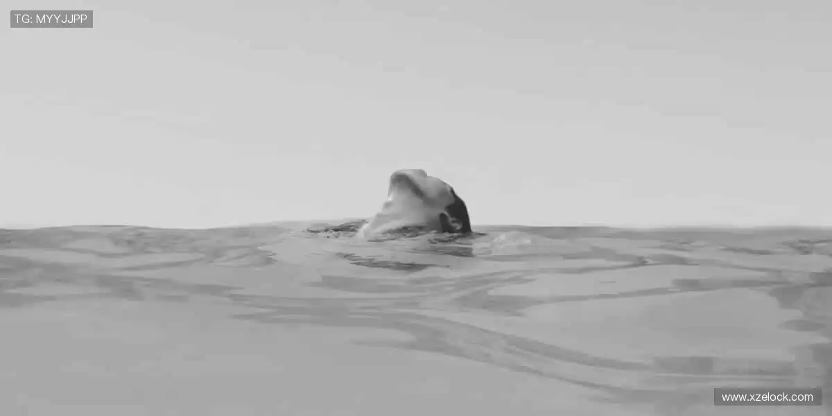 ⚽️ 热血赛事，即刻点燃你的激情！🏆